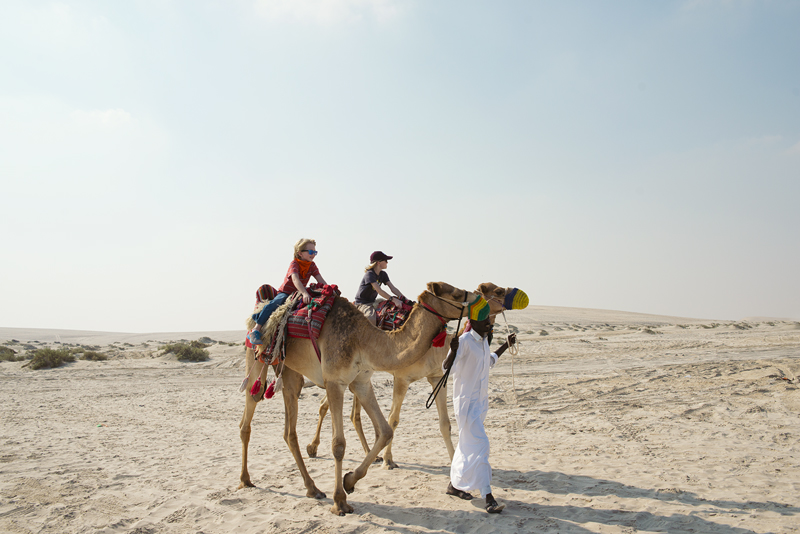 camels, desert, cj, wc, happy